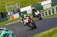 cadwell-no-limits-trackday;cadwell-park;cadwell-park-photographs;cadwell-trackday-photographs;enduro-digital-images;event-digital-images;eventdigitalimages;no-limits-trackdays;peter-wileman-photography;racing-digital-images;trackday-digital-images;trackday-photos